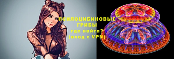 сатива Нягань