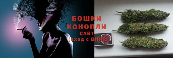 сатива Нягань
